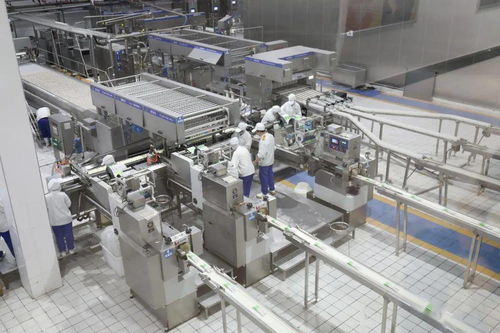 河北電視臺《冀有好物》攝制組赴大名縣錄制專刊